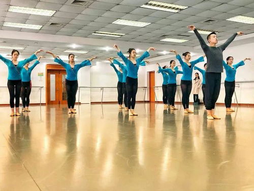 明理 悟情 取藝 廣州市白云區(qū)藝術(shù)教育骨干學(xué)習(xí)之旅