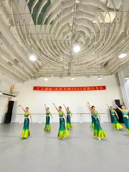 藝文國際 本原藝考2020屆佳績,夢想靠岸