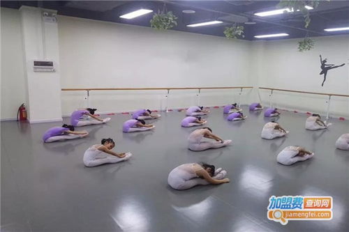 藝林藝術(shù)教育加盟費(fèi)需要多少錢