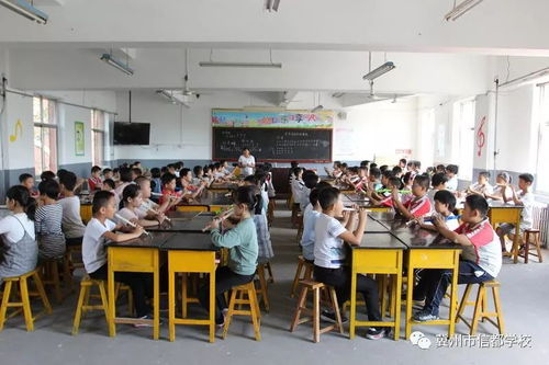 推行器樂進(jìn)課堂 藝術(shù)教育顯亮點(diǎn)