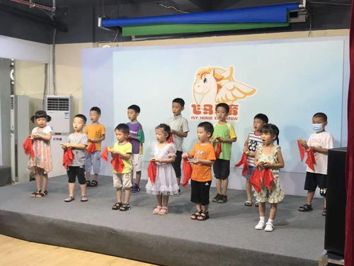 語(yǔ)言藝術(shù)之旅 飛馬教育培訓(xùn)中心暑假班口才特訓(xùn)營(yíng)第四期圓滿(mǎn)結(jié)課