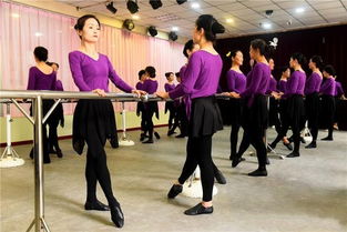 鳳凰教育走進(jìn)洛陽(yáng)校園藝術(shù)培訓(xùn)基地，升學(xué)咨詢(xún)助力學(xué)子圓夢(mèng)